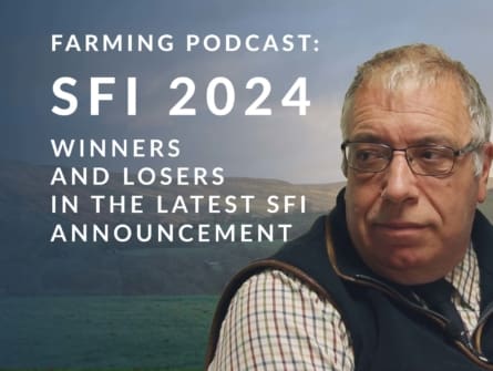 Podcast SFI 2024