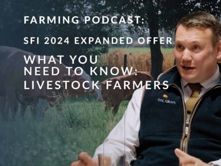 Podcast Livestock Farmers