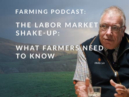 Farming Labour Challenges Under the New Labour Government: Insights from Robert Sullivan