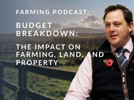 How the 2024 Budget impacts UK farming & the land market | GSC Grays Podcast