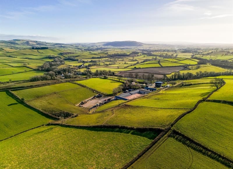 Willowsway Stud, Stainton, Kendal